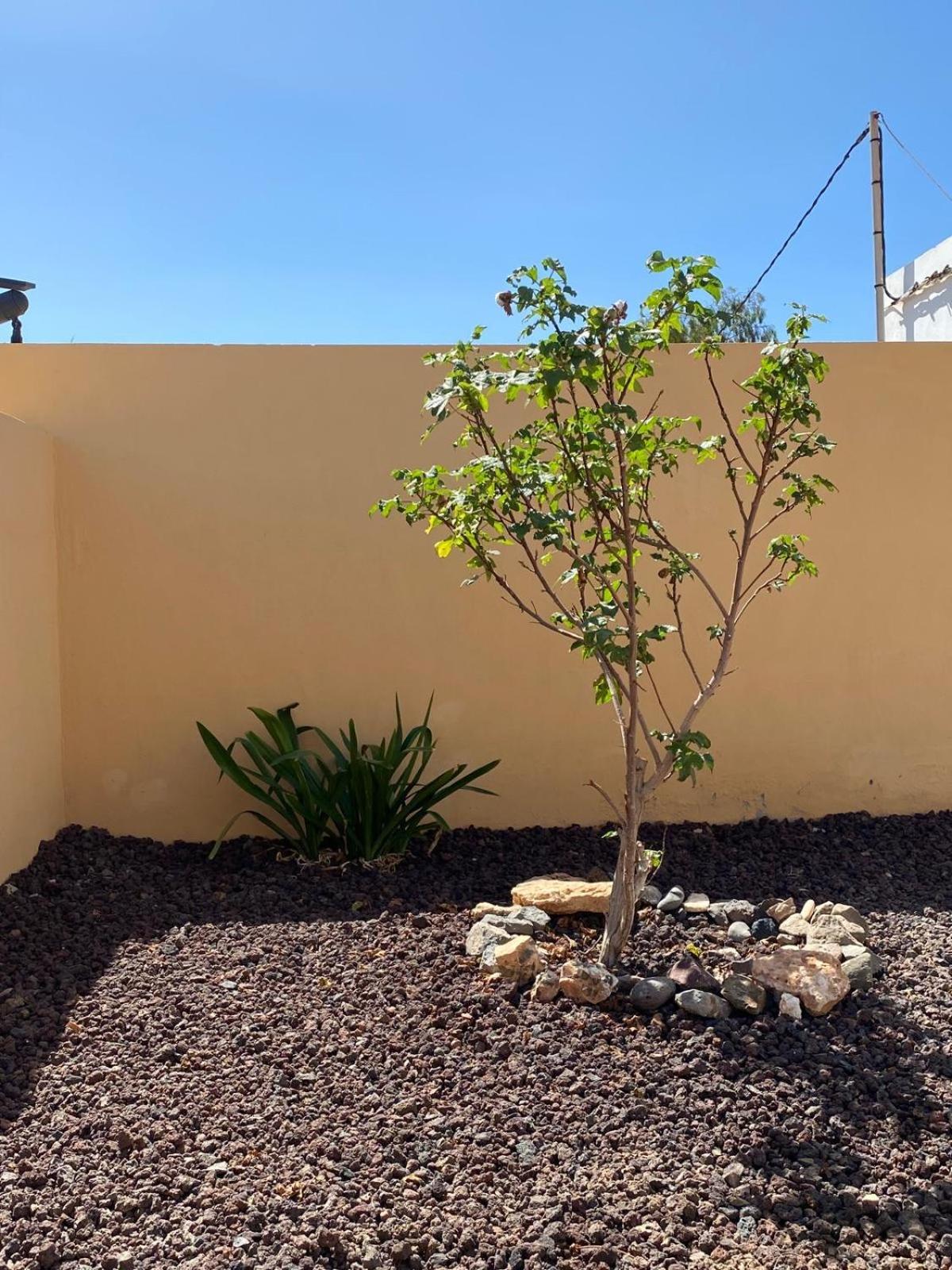 Casa Yamile Villa Tarajalejo Exterior photo